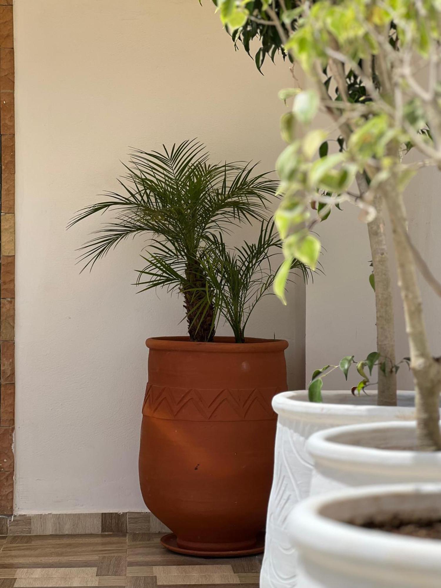 Riad Safia Ραμπάτ Εξωτερικό φωτογραφία